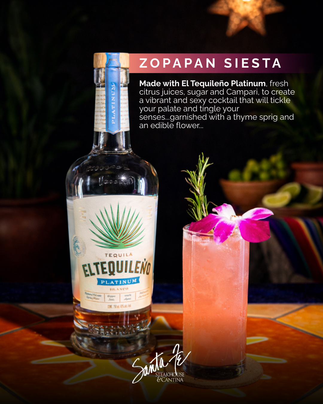 SF Zopapan Siesta
